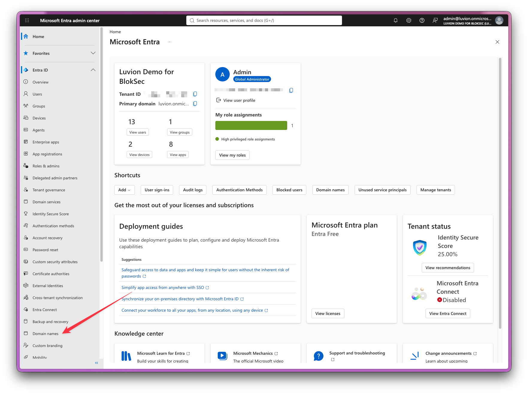 Microsoft Entra admin center home page with Domain names in the left-hand menu and the Add custom domain button