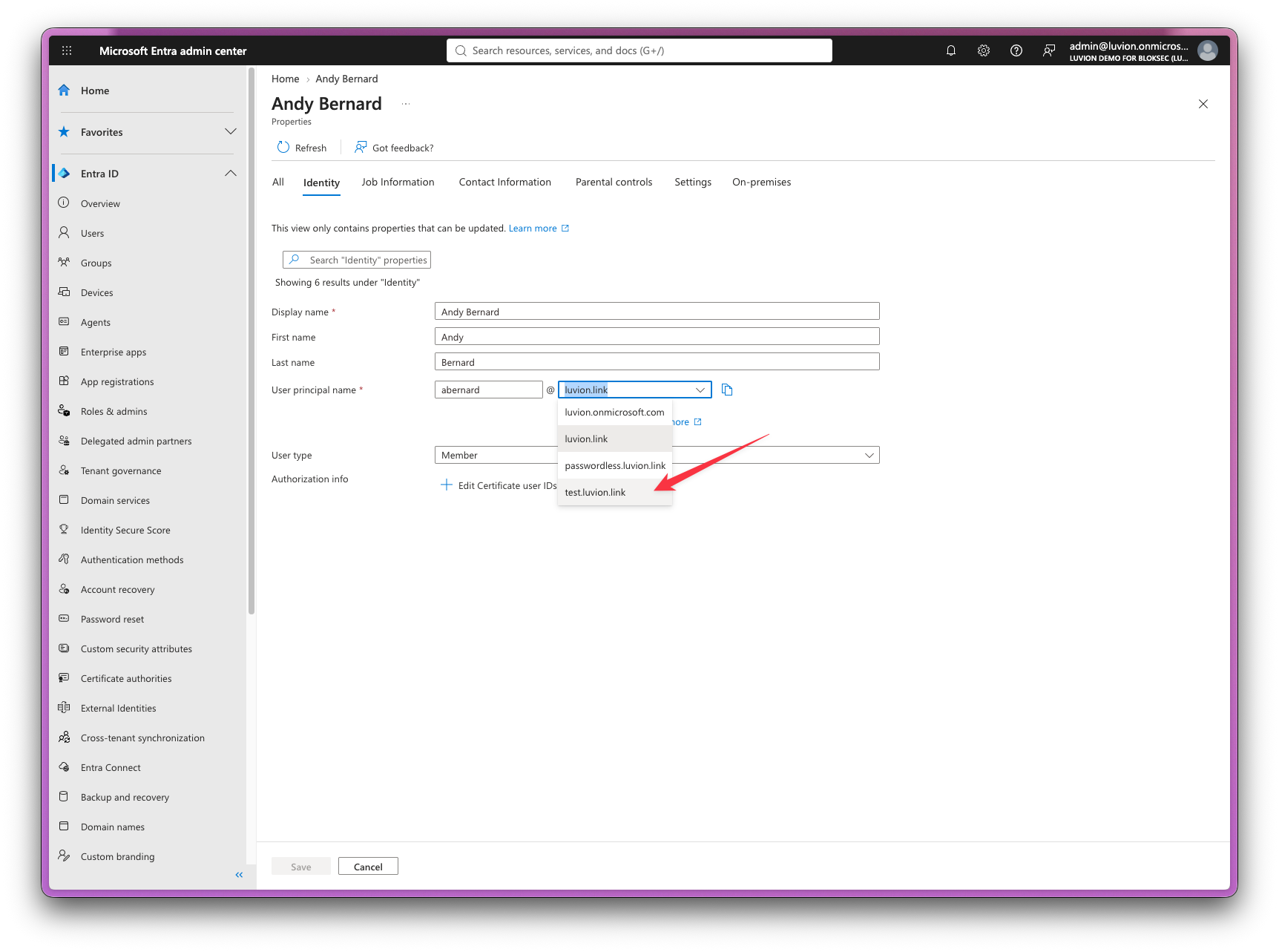 Edit properties screen with the User principal name domain drop-down open and test.luvion.link listed